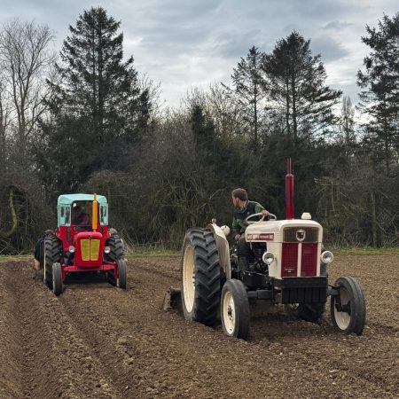 WhatsApp Image 2026-02-04 at 7.02.25 PM